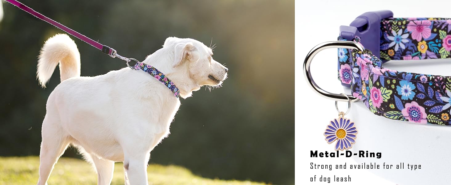 purple dog collar girl dog collar female dog collar for summer dog collar