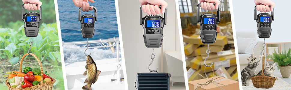 Multifunctional Digital Scale