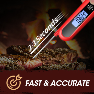 meat thermometer