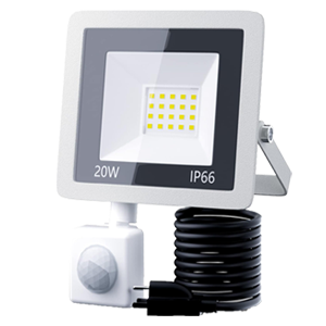 FLOOD LIGHT