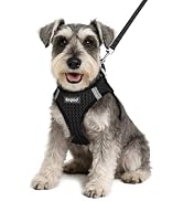Eagloo Small Dog Harness and Leash Set, Step in Puppy Vest with Breathable Soft Mesh, Walking Ref...