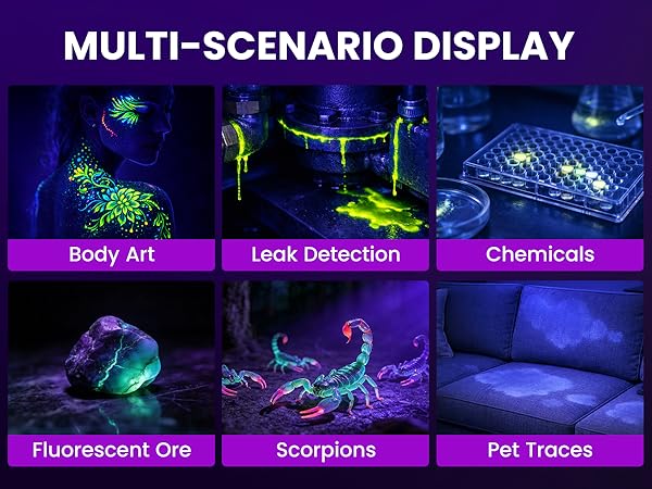 Multi-scenario display