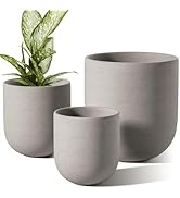 LE TAUCI 6+8+10 Inch Plant Pots Indoor, Ceramic Planters for Indoor Plants, Cylinder Pots with Dr...