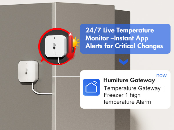 freezer thermometer with alarm