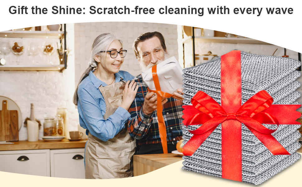 double stainless steel scrubber