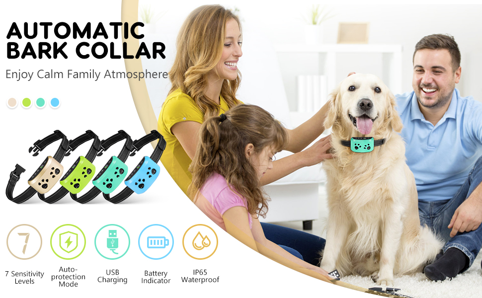 bark collar