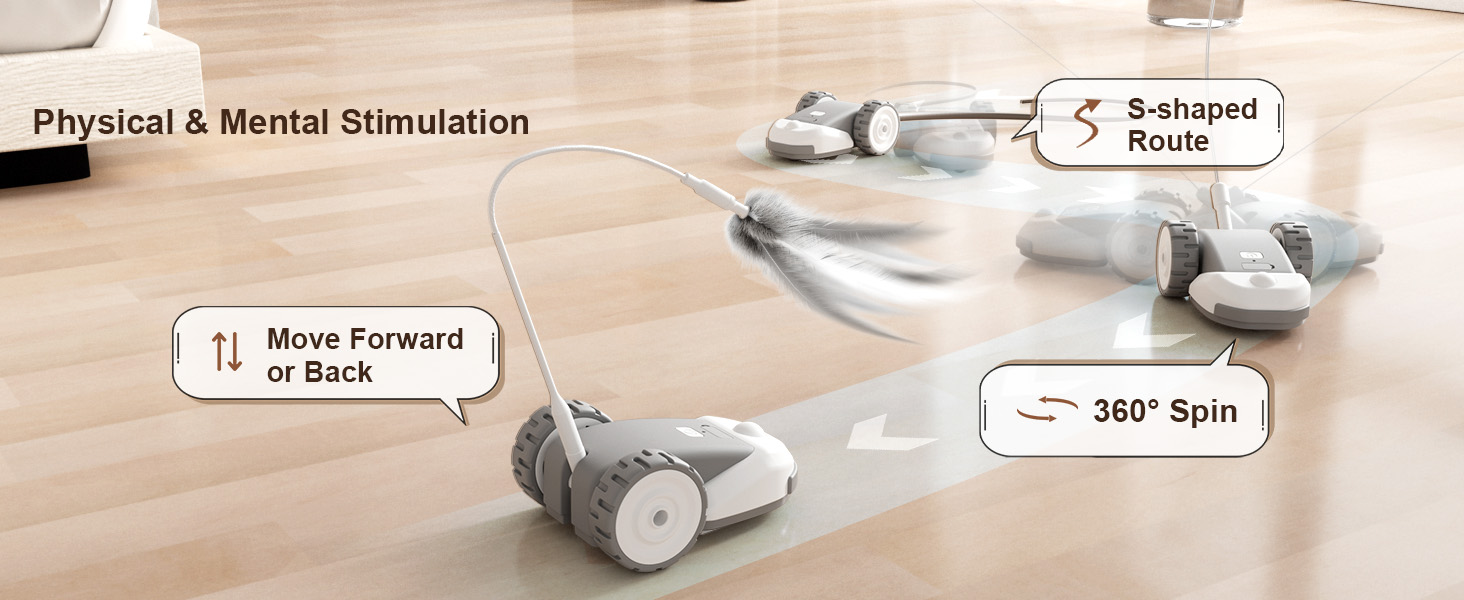 Interactive Cat Toy