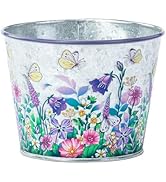 Napco Imports Indoor Outdoor Flower Pot Cover Container Basket 4.75 Inch Metal Butterfly Garden