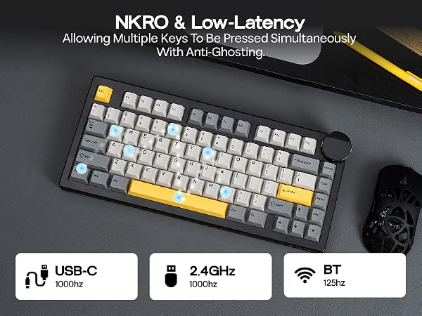 AK820V2