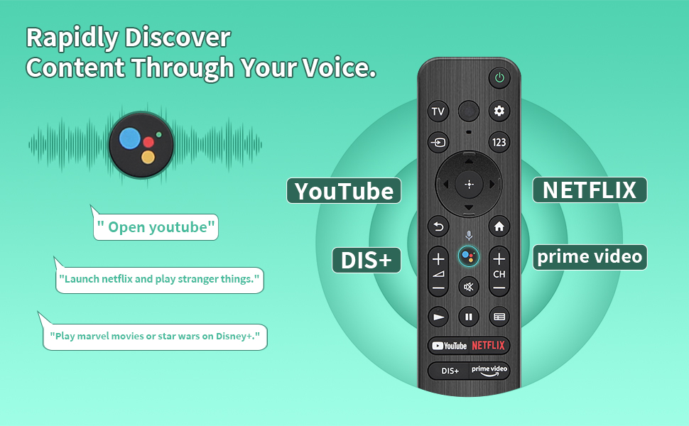 REMOTE FOR SONY