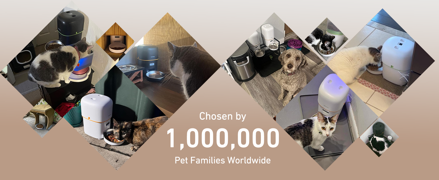 automatic cat feeder cat food dispenser pet feeder