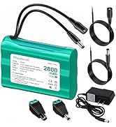 Mspalocell 12V 2800mAh Rechargeable Li-ion Battery, 12v DC5521 Port Battery Pack with Charger Com...