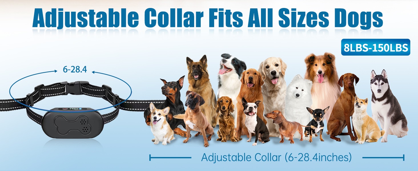 shock collar for dogs