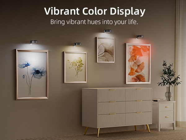 Picture Lights for Wall