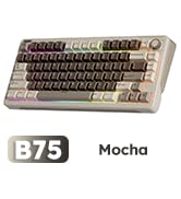 iLovBee B75 Wireless Mechanical Keyboard, 75% Percent Gaming Keyboard w/Bluetooth/2.4GHz/USB Wire...