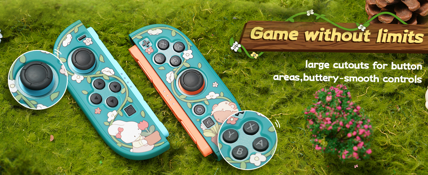 Switch 2 Protective Case