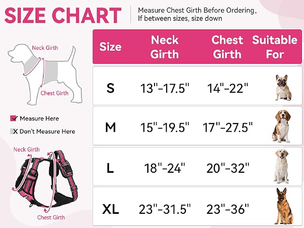 dog harness