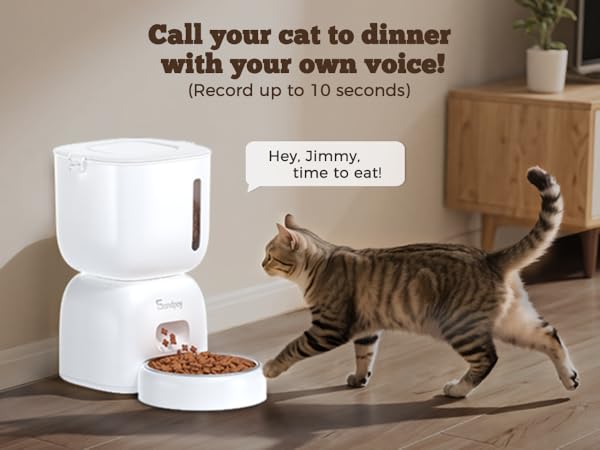 Automatic Cat Feeder