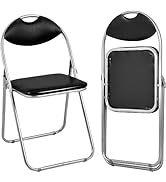 ARLIME 2 Pack Folding Chairs w/Padded Seats, Metal Foldable Chair with Extra Grip Handle,Black Fo...