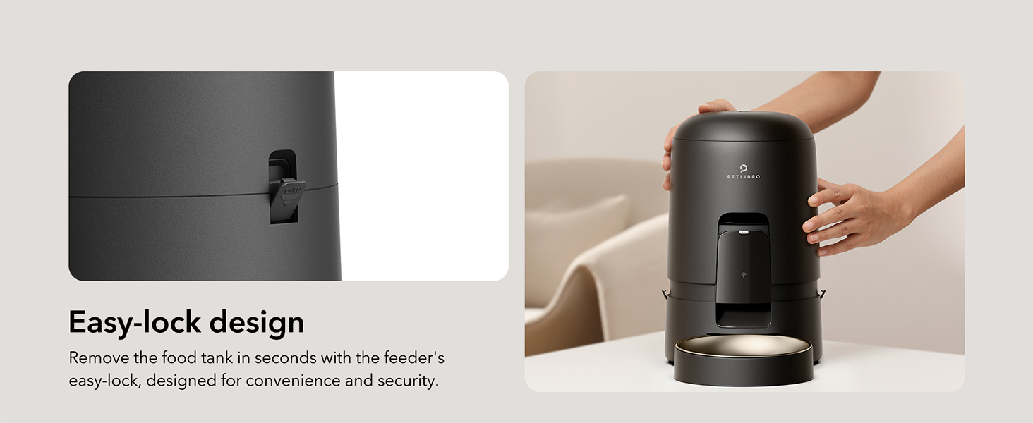 automatic cat feeders 2 cat