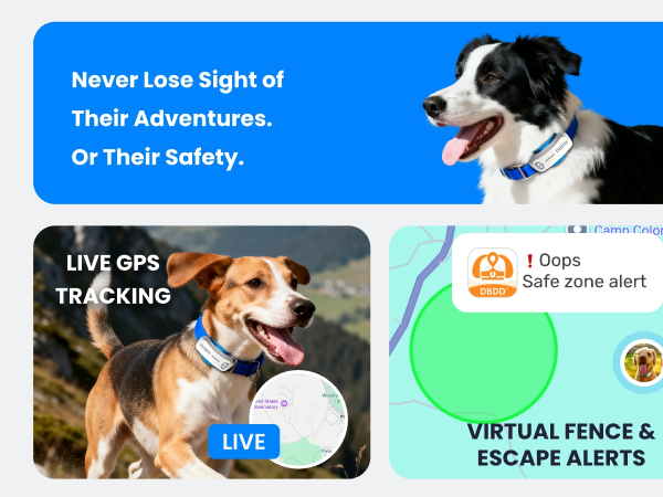 LIVE GPS TRACKING. VIRTUAL FENCE &amp; ESCAPE ALERTS