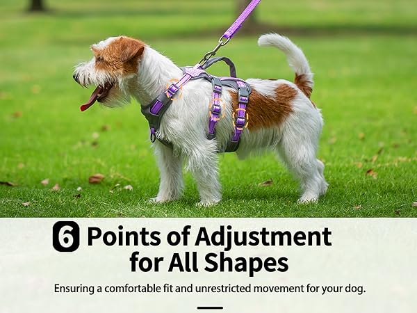 dog harness with handle 