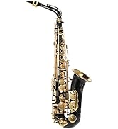 summina Eb Alto Saxophone Brass Lacquered Gold E Flat Sax 82Z Key Type Woodwind Instrument with C...