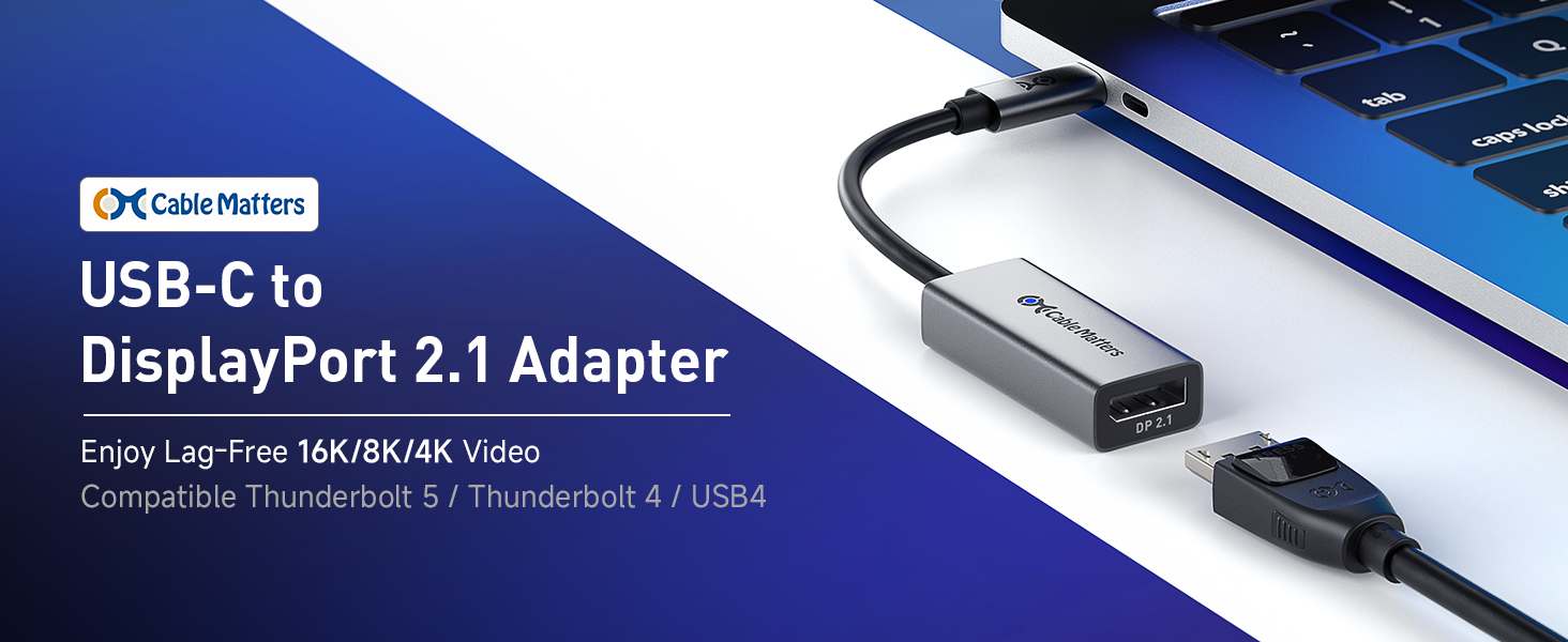 usb c to displayport 2.1