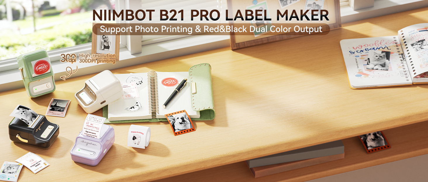 niimbot b21 pro label maker for christmas