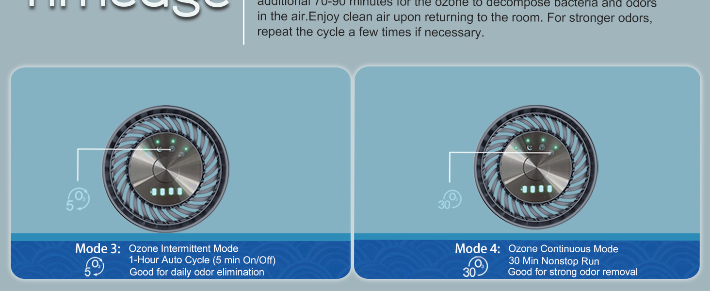 odor eliminator for car
