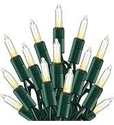 TW SHINE Warm White Christmas Lights Outdoor, 20FT 100 Count Incandescent Christmas Light Indoor,...