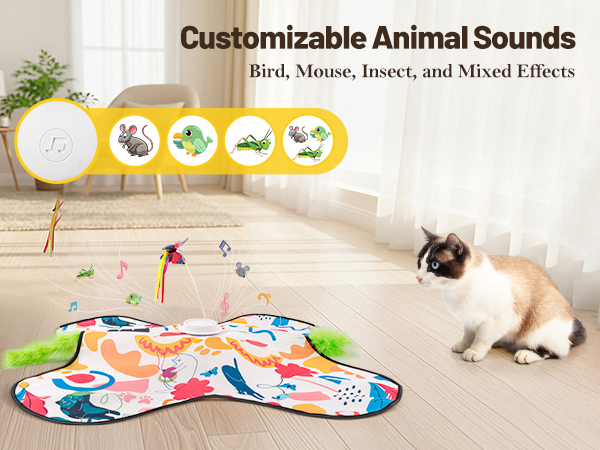 Interactive Cat Toys