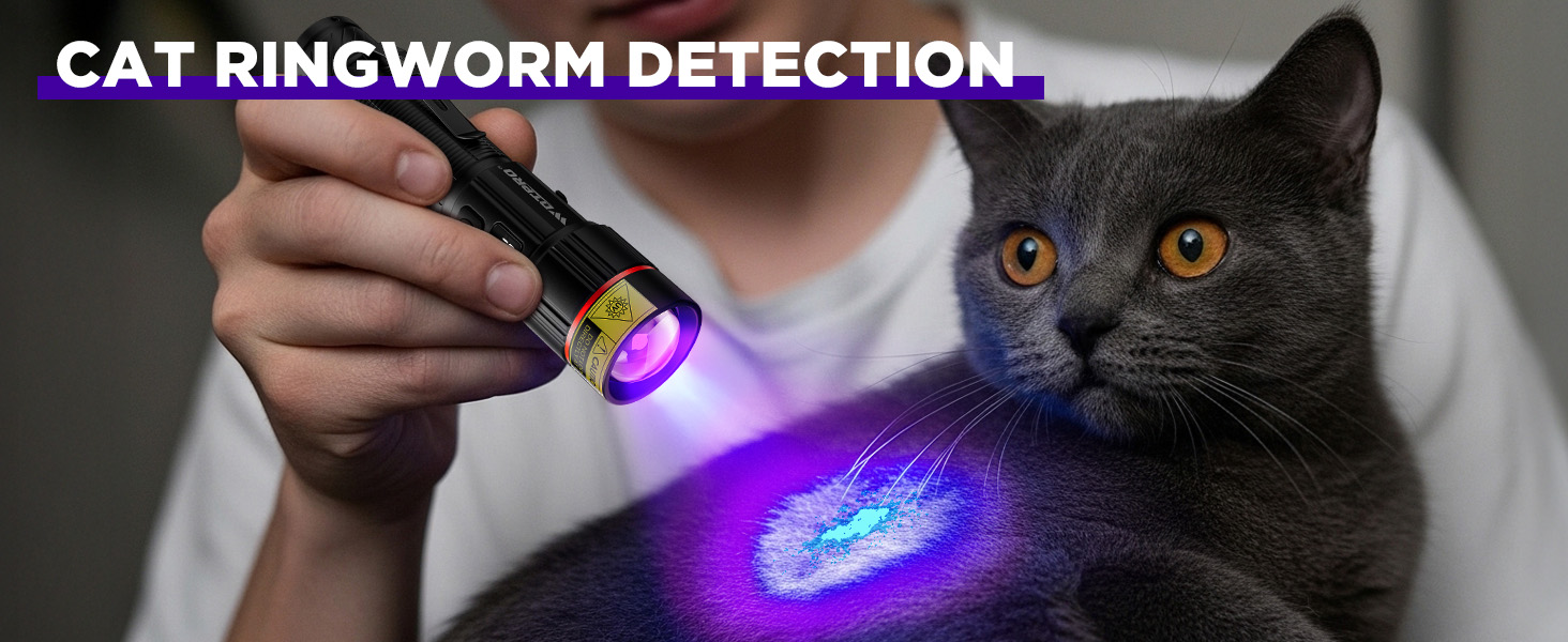 CAT RINGWORM DETECTION