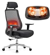FLEXISPOT MasterEase Ergonomic Office Chair with Adjustable Headrest, 3D Armrests, 2D Lumbar with...