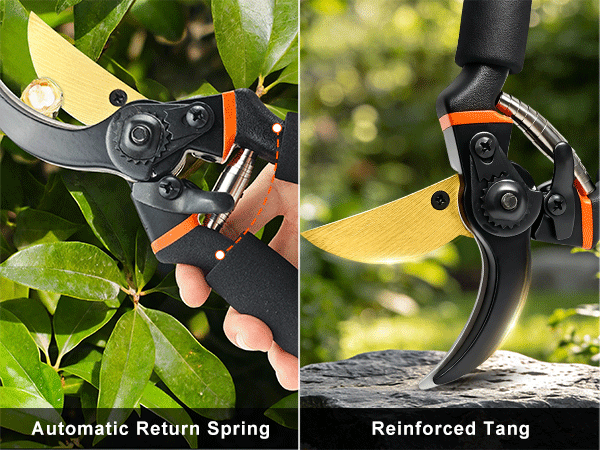 Pruning shears