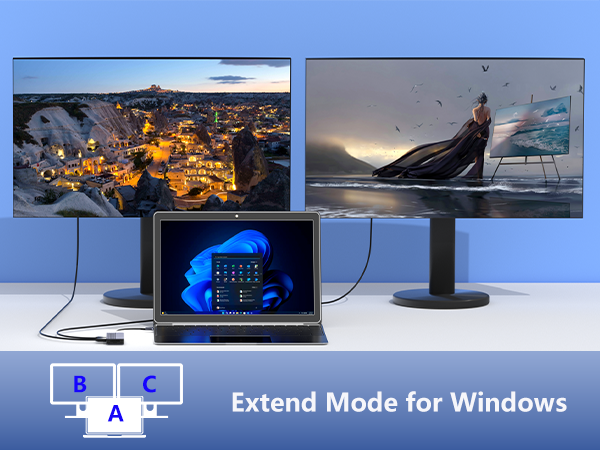 usb c docking station dual monitor