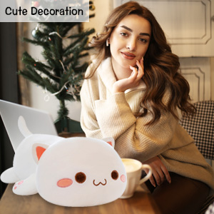 Cute cat