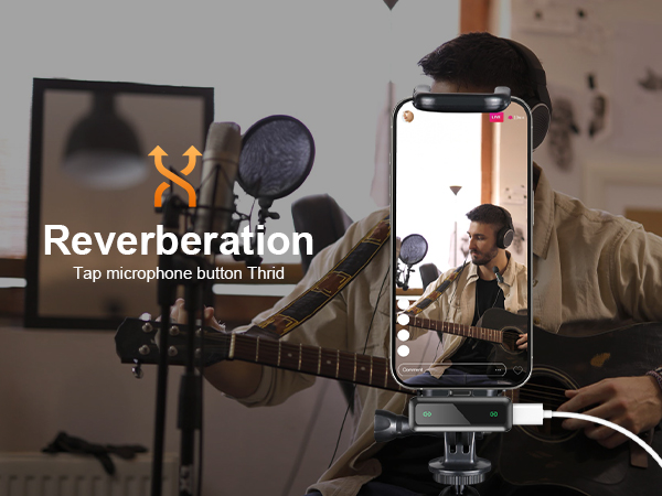mini microphone usb c