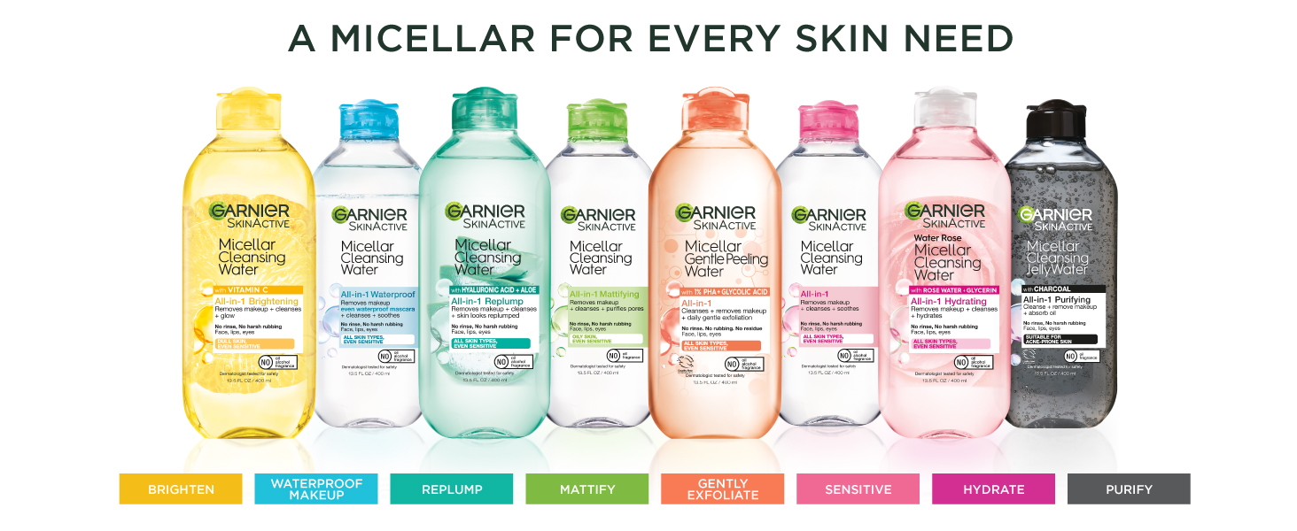 micellar garnier product range