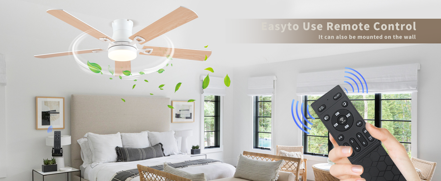 ceiling fan
