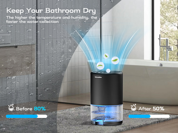 dehumidifiers for home