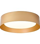 Gold Flush Mount Ceiling Light