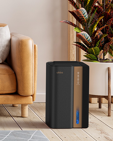 dehumidifier for basement