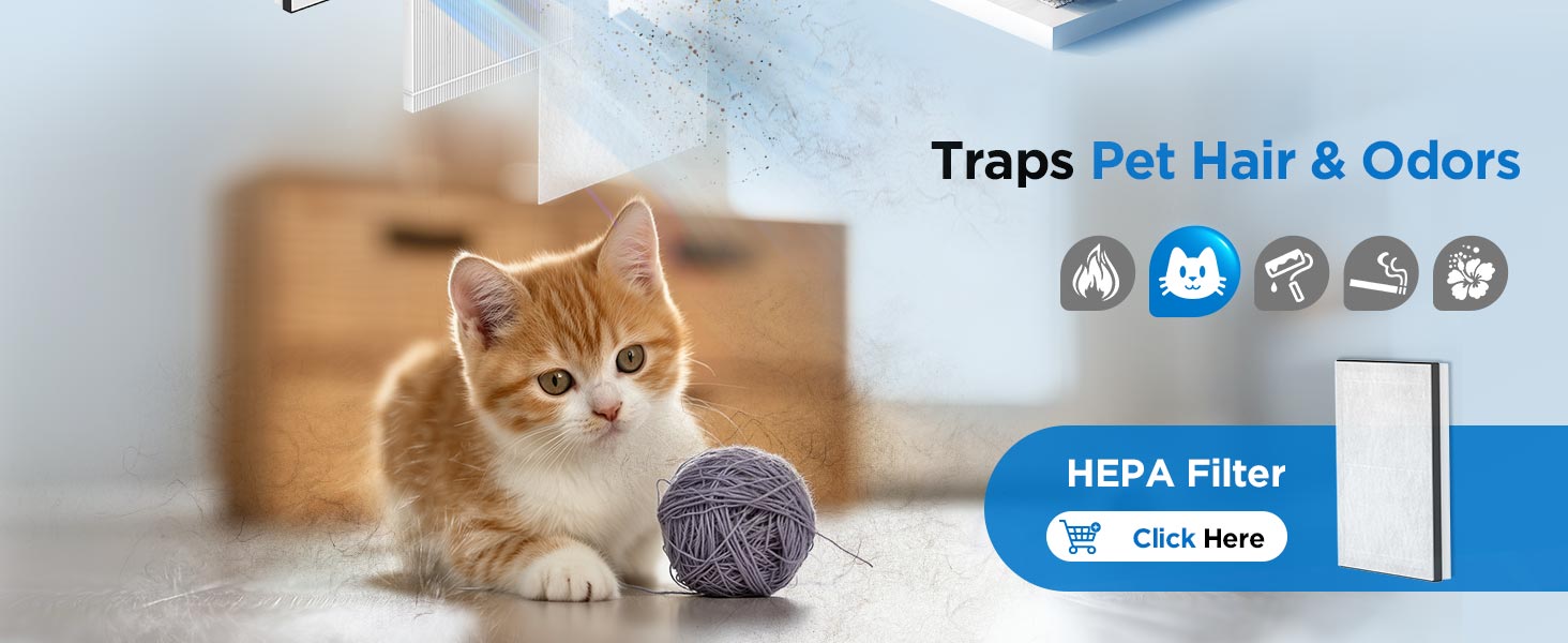 air purifiers for home