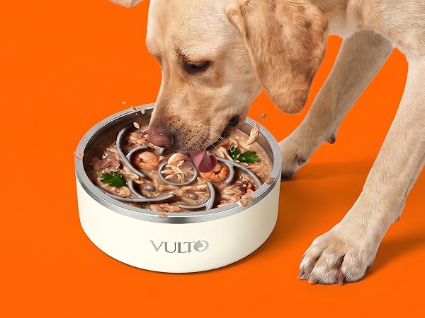 Metal dog bowl slow feeder silicone insert for wet and raw dog food