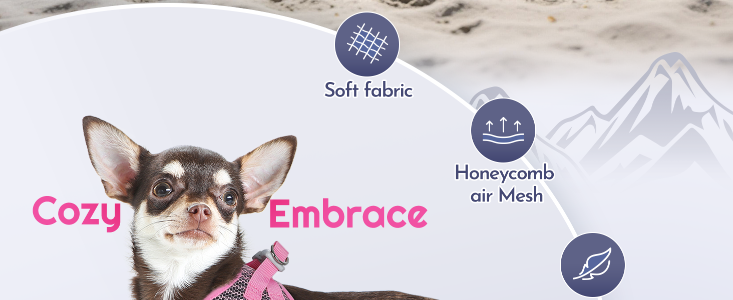 dog harness small dog
