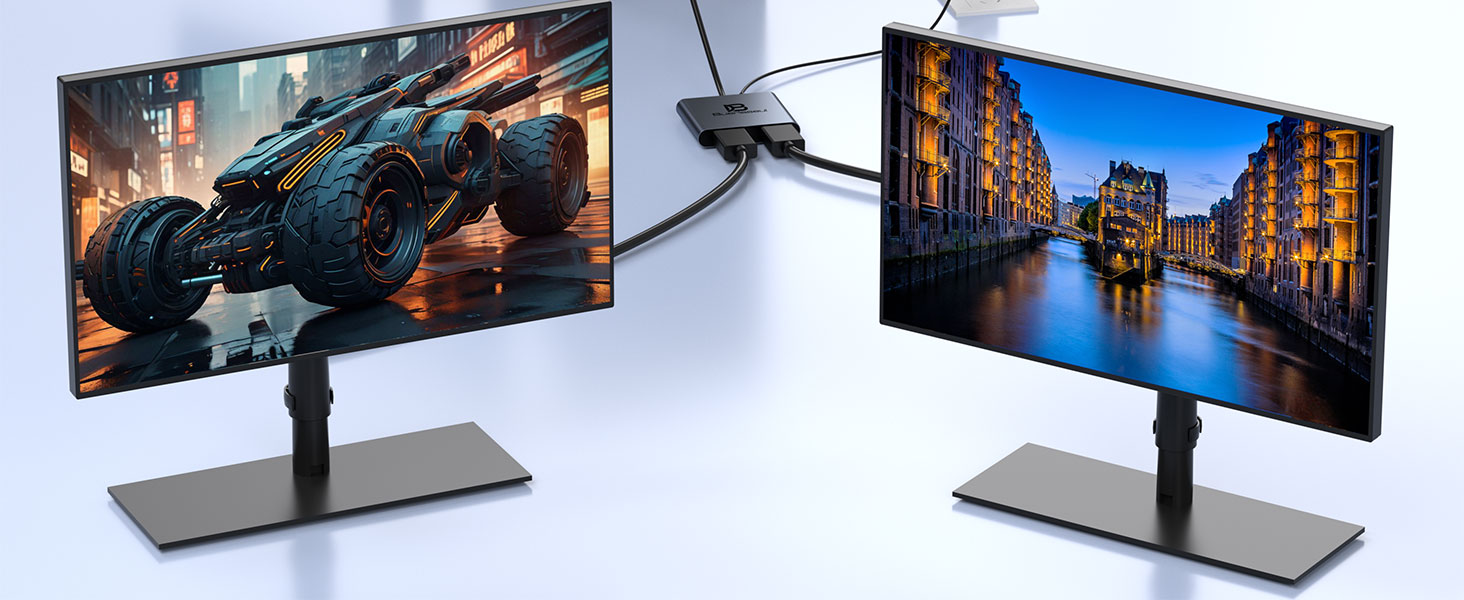 Dual Monitor Adapter