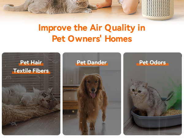 pet air purifiers for home