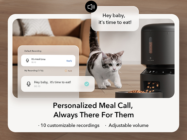 automatic cat feeder