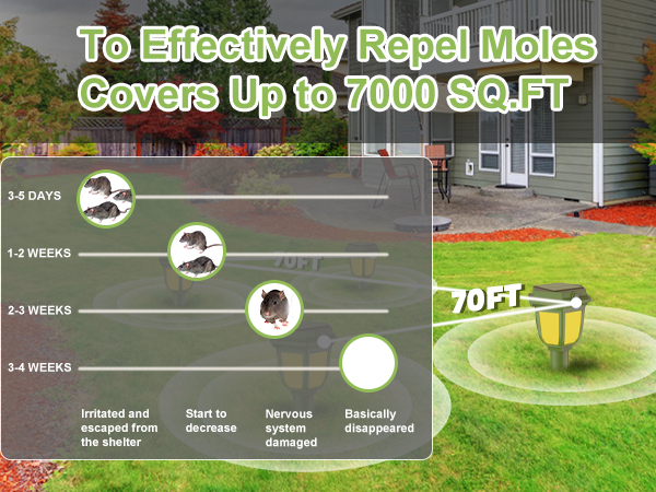 COVERS UP TO 7000 SQFT